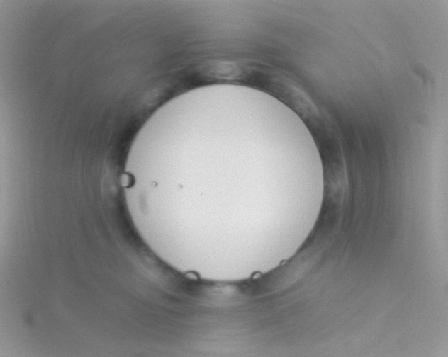 X0000115300374200911231314