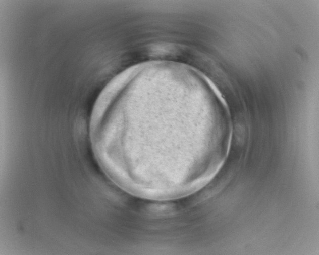 X0000115300375200911231314