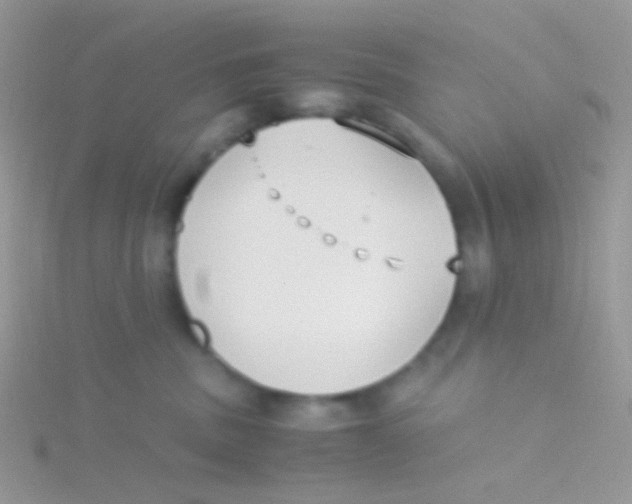 X0000115300379200911231314