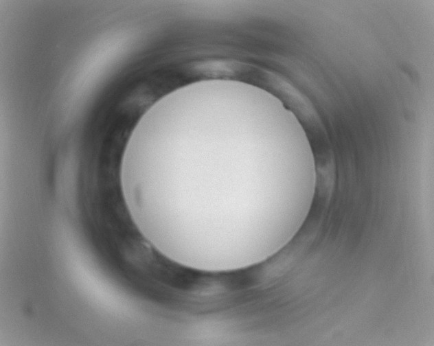 X0000115300381200911231314