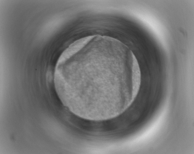 X0000115300382200911231314