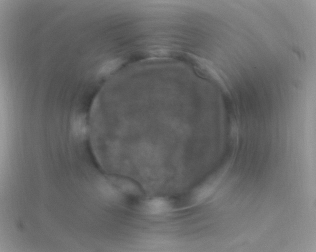 X0000115300383200911231314