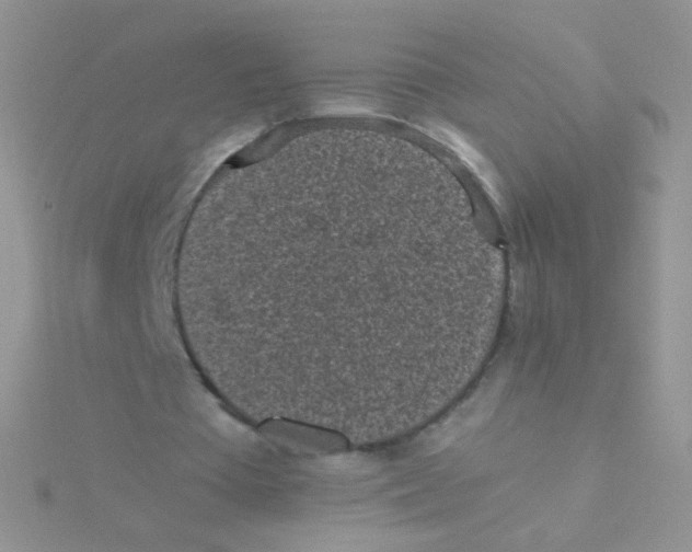 X0000115300385200911231313