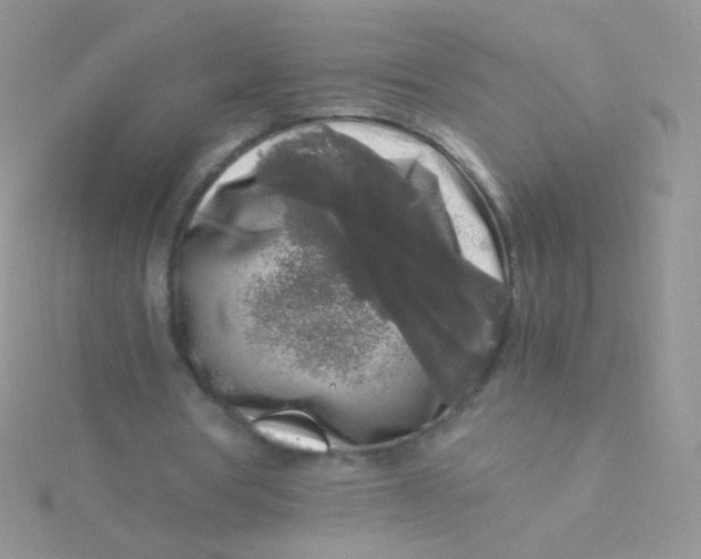 X0000115300386200911231313