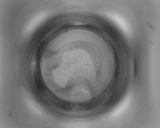 X0000115300387200911231313