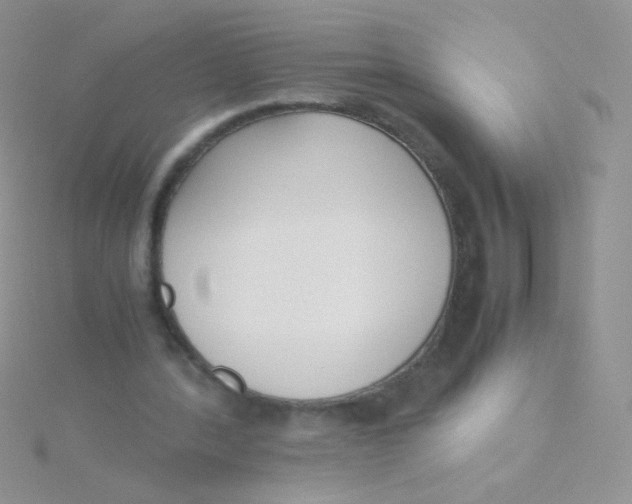 X0000115300388200911231313