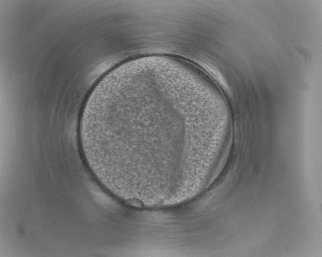 X0000115300389200911231313