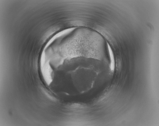 X0000115300390200911231313