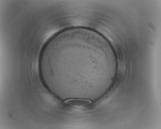 X0000115300391200911231313