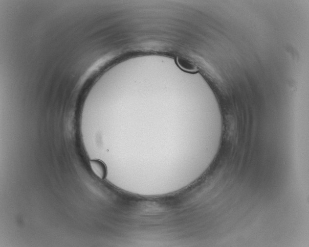 X0000115300392200911231313