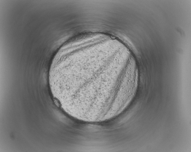 X0000115300393200911231313