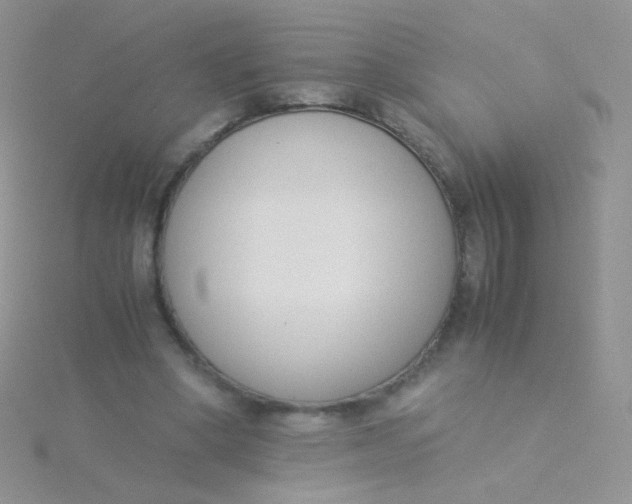 X0000115300394200911231313