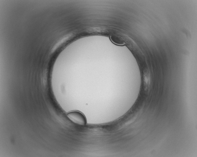 X0000115300396200911231313