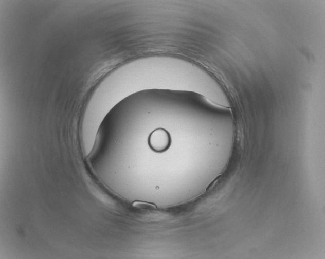 X0000115300397200911231313