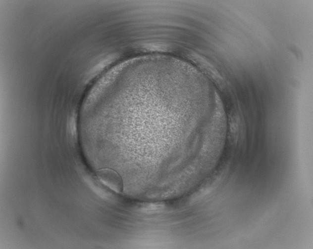 X0000115300398200911231313