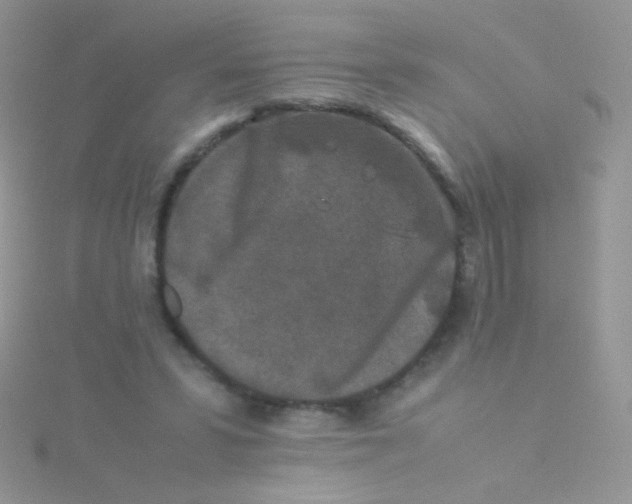 X0000115300399200911231313