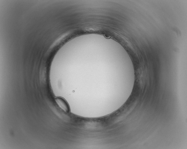 X0000115300400200911231313