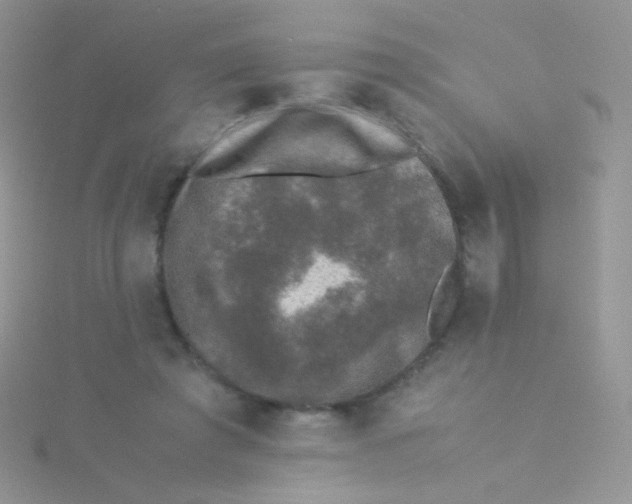 X0000115300401200911231313