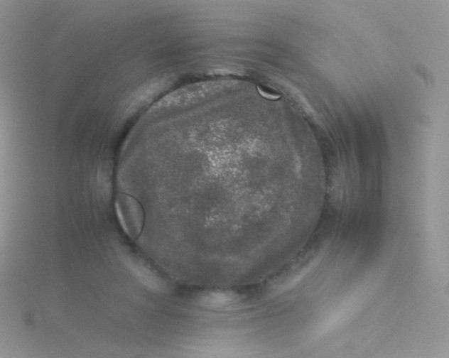 X0000115300402200911231313