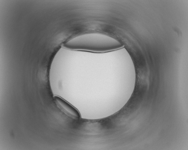 X0000115300403200911231313