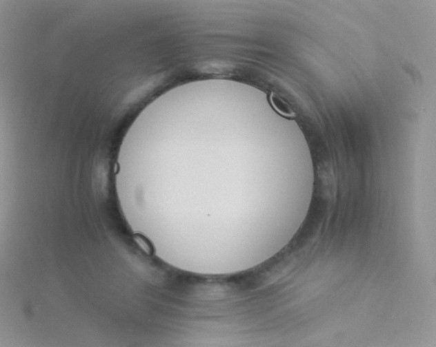 X0000115300404200911231313