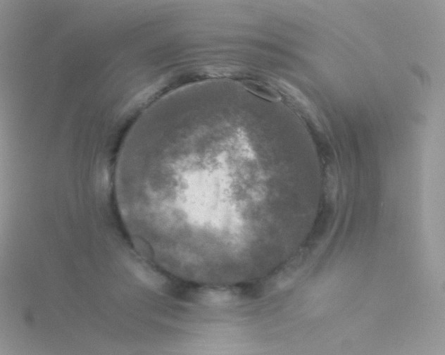 X0000115300405200911231313