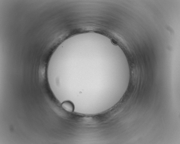 X0000115300406200911231313