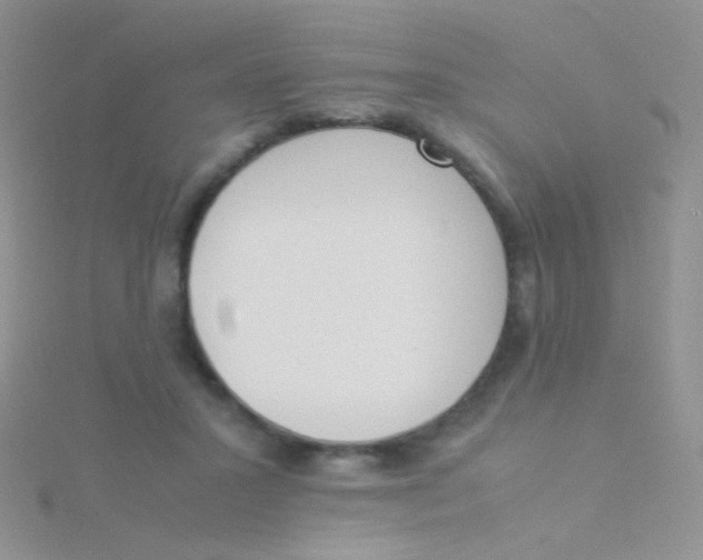 X0000115300407200911231313