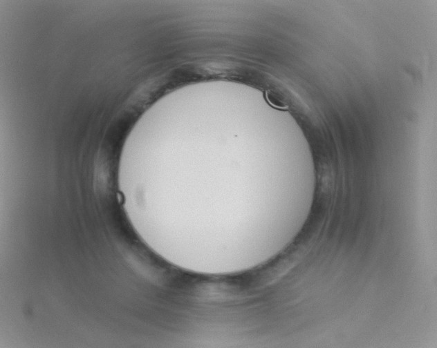 X0000115300408200911231313