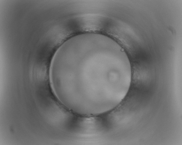 X0000115300411200911231313