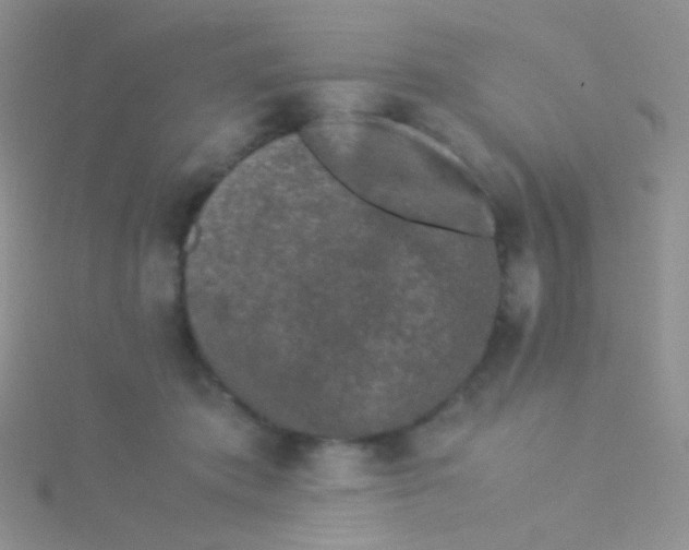 X0000115300413200911231313