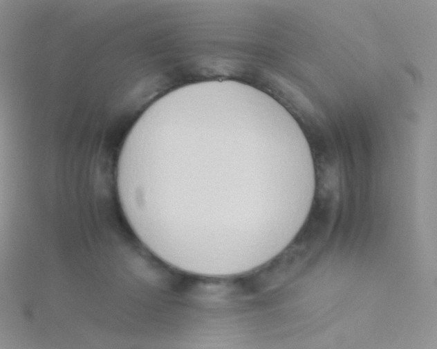 X0000115300414200911231313