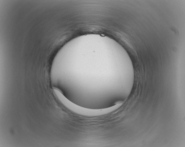 X0000115300415200911231313