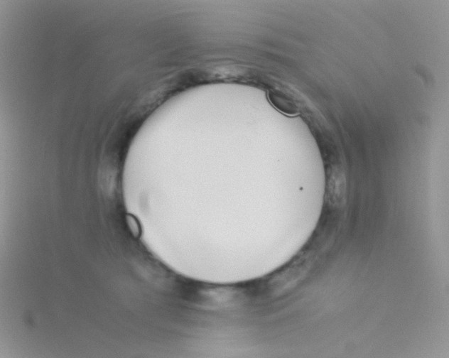 X0000115300417200911231313