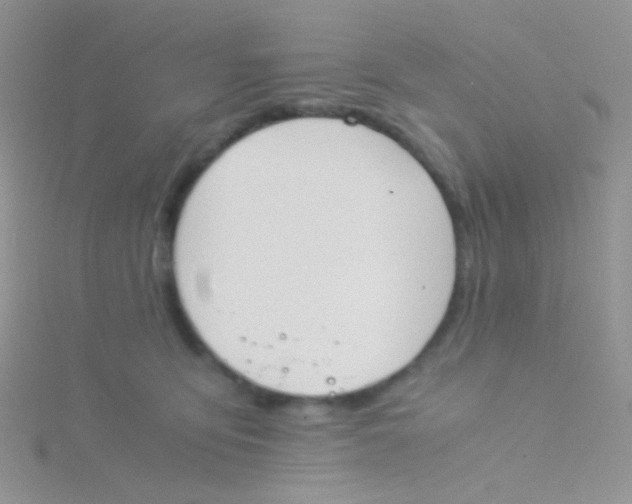 X0000115300419200911231313