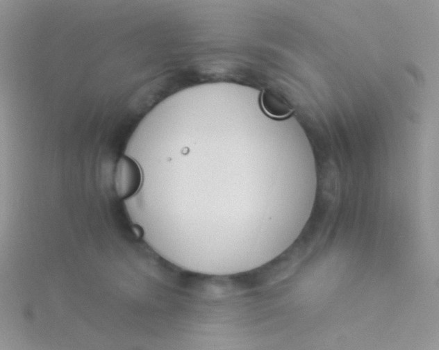 X0000115300420200911231313