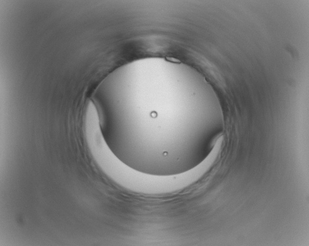 X0000115300421200911231313