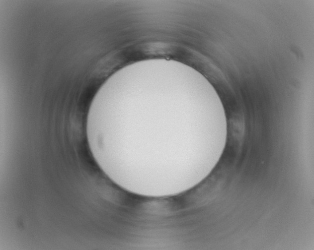 X0000115300422200911231313