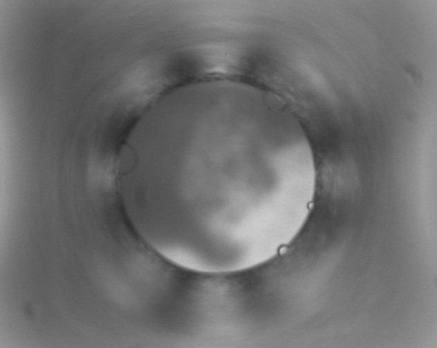 X0000115300423200911231313