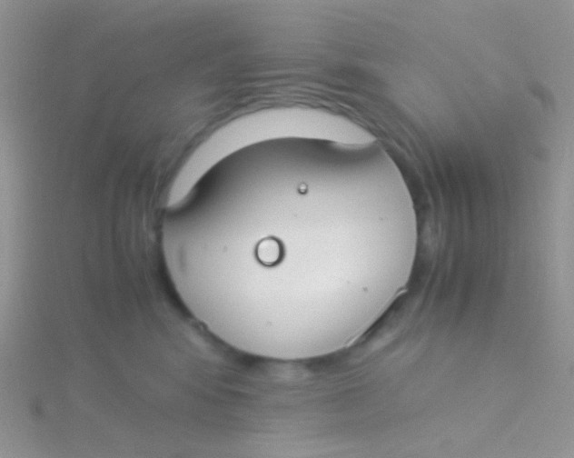 X0000115300424200911231313