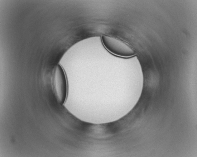 X0000115300425200911231313