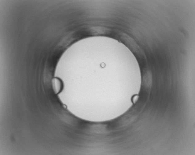 X0000115300426200911231313