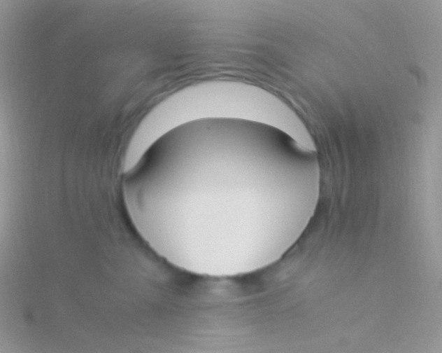 X0000115300427200911231313