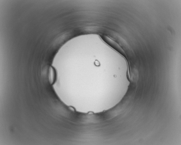 X0000115300428200911231313