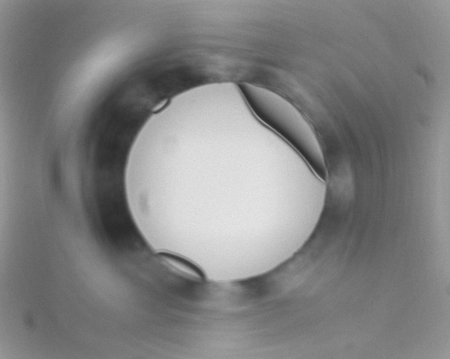 X0000115300429200911231313