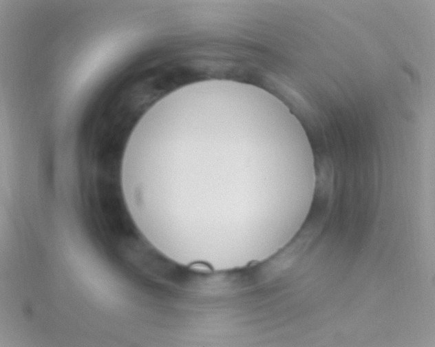 X0000115300430200911231313