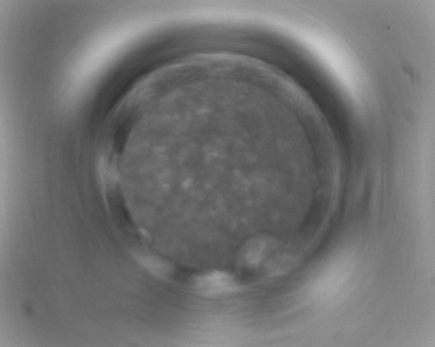 X0000115300431200911231313