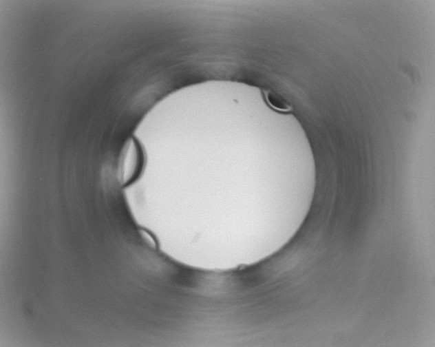 X0000115300432200911231313