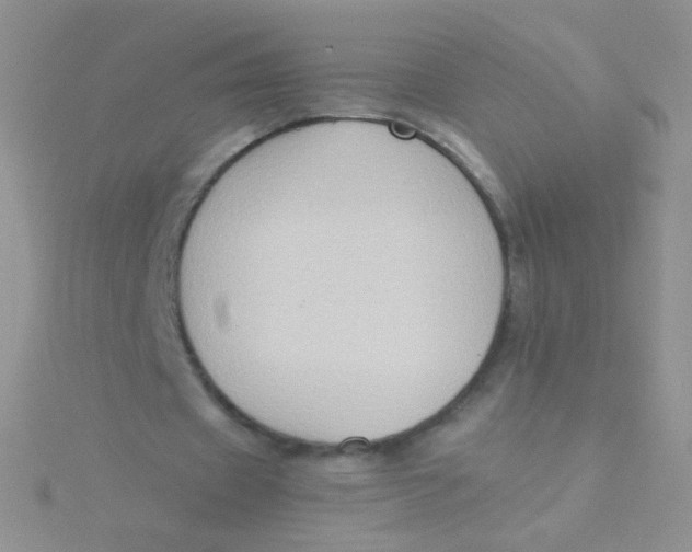 X0000115300433200911231312