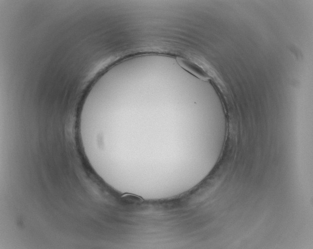 X0000115300434200911231312